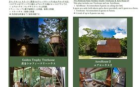 Treeful Treehouse Sustainable Resort